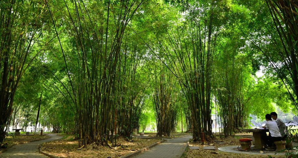 美加墨世界杯官网风景