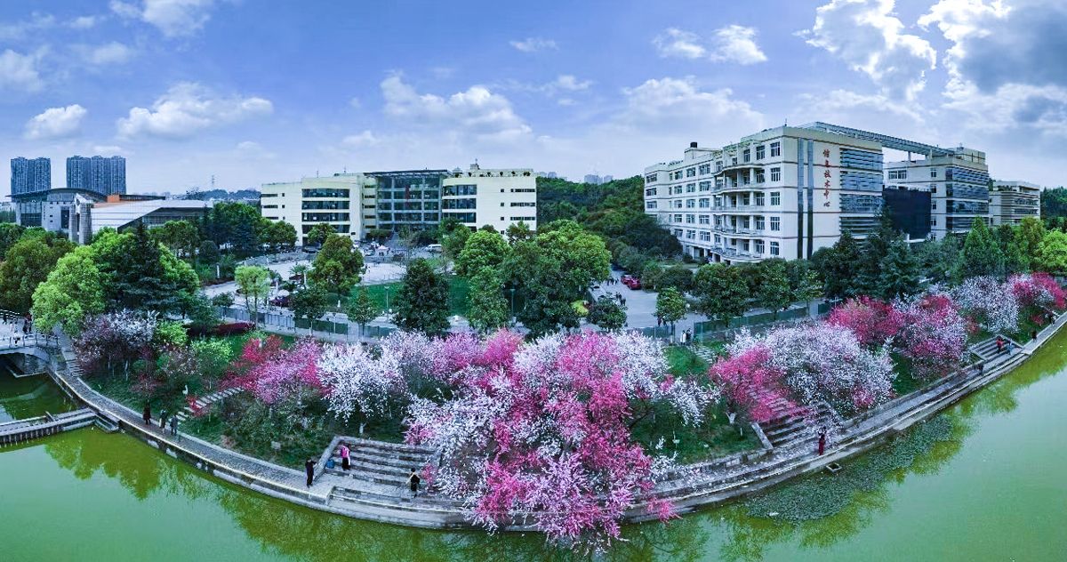 美加墨世界杯官网风景